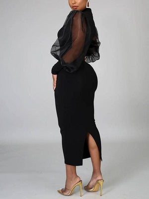 Elegant Mesh Long Sleeve Dresses