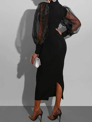 Elegant Mesh Long Sleeve Dresses