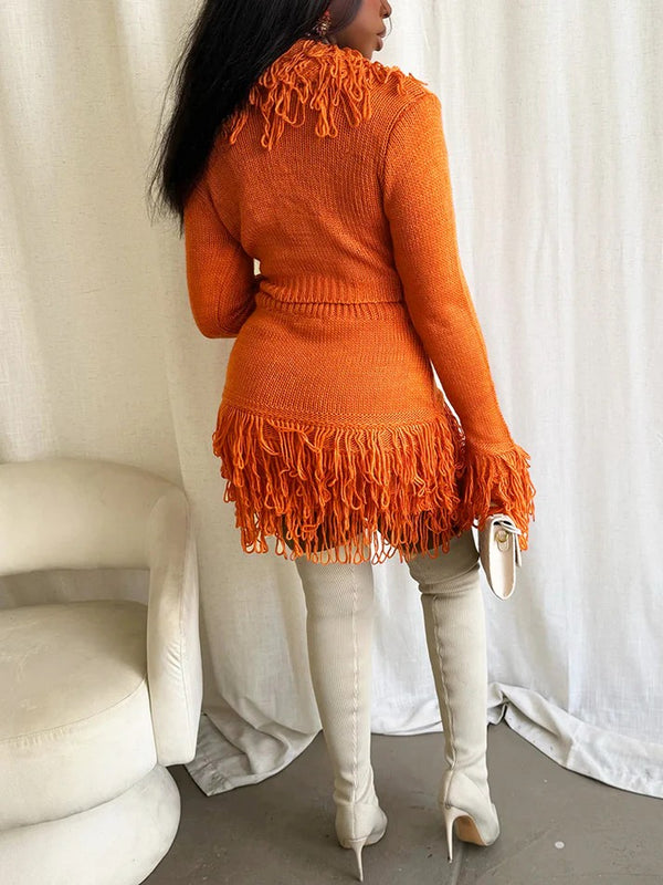 Fringe Knit Sweater Skirt Set