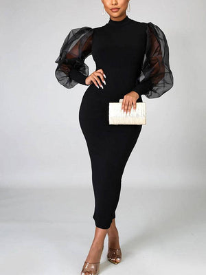 Elegant Mesh Long Sleeve Dresses