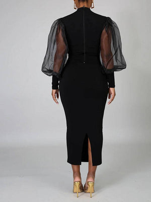 Elegant Mesh Long Sleeve Dresses